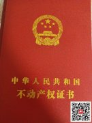 市中心，学区房